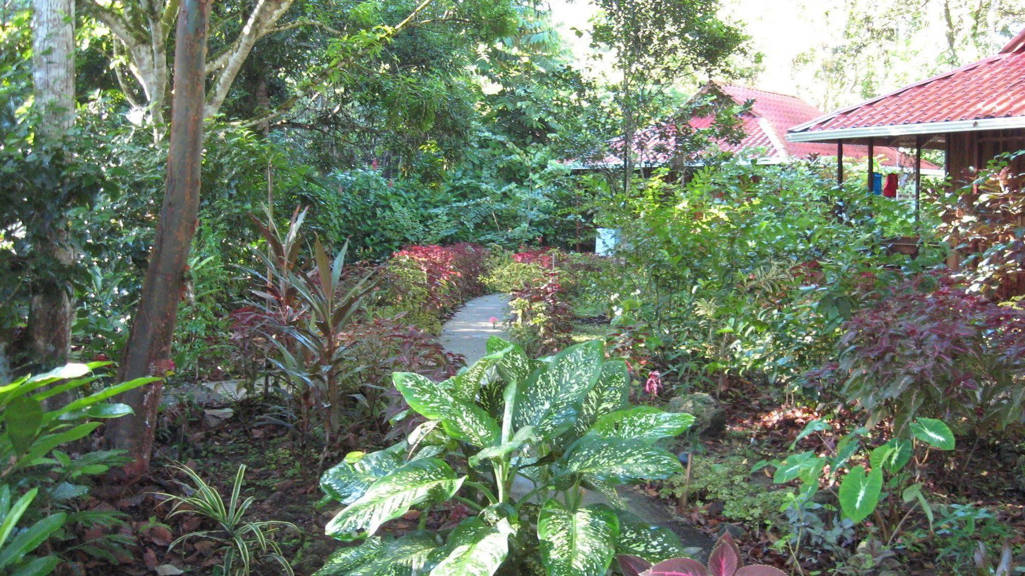 Coral Hill Bungalows Cahuita Exterior foto
